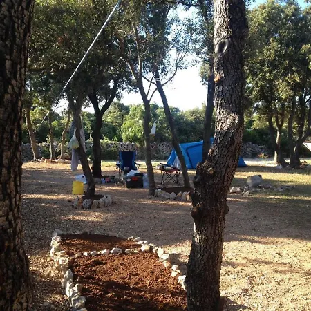 Sugar Campsite