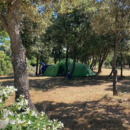 Campsite Sugar Mandre