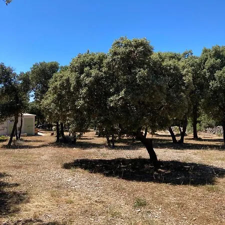 Campsite Sugar Mandre