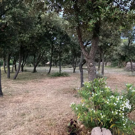 Sugar Campsite *