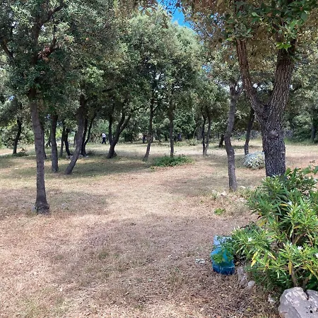 Sugar Campsite