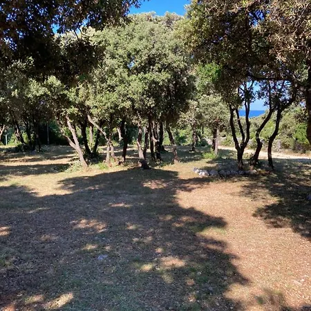 Sugar Campsite Mandre