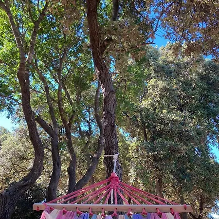 Sugar Campsite