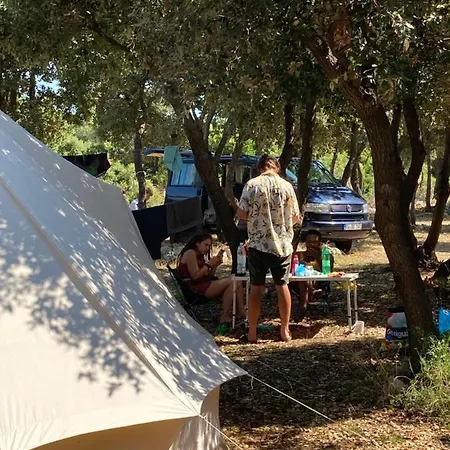 Sugar Campsite *