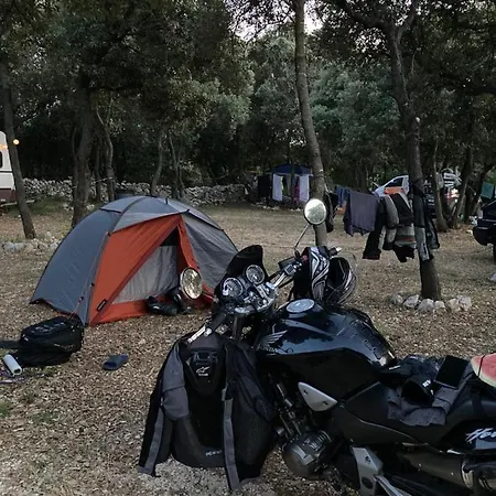 Sugar Campsite