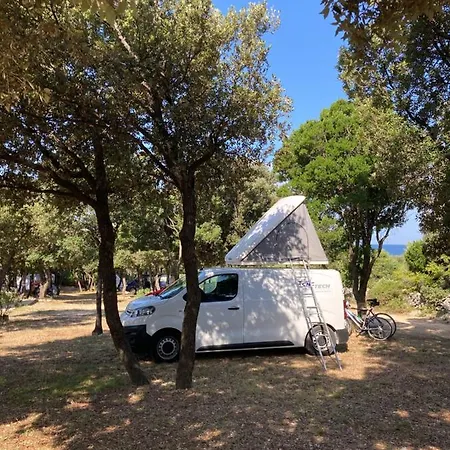 Sugar Campsite Mandre