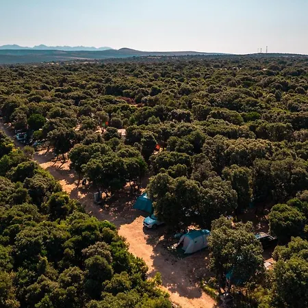 Sugar Campsite Mandre