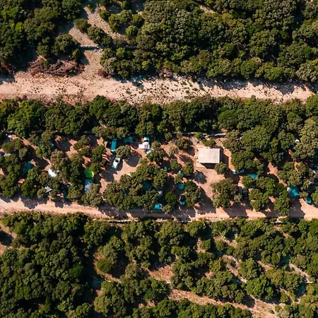 Campsite Sugar Mandre