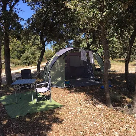 Campsite Sugar *