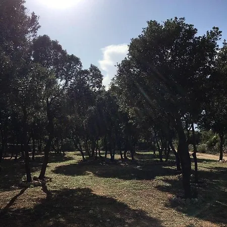 Sugar Campsite *