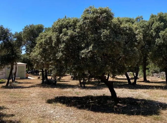 Κάμπινγκ Sugar Mandre