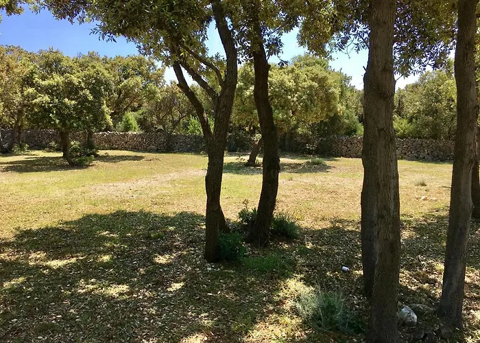 Κάμπινγκ Sugar *