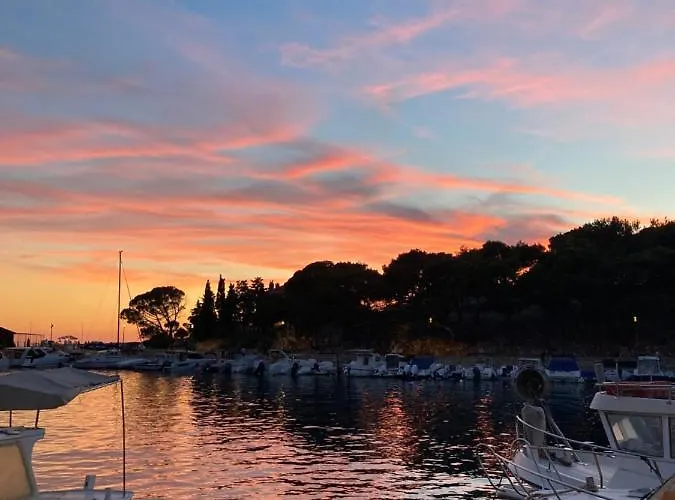 Sugar Κάμπινγκ *