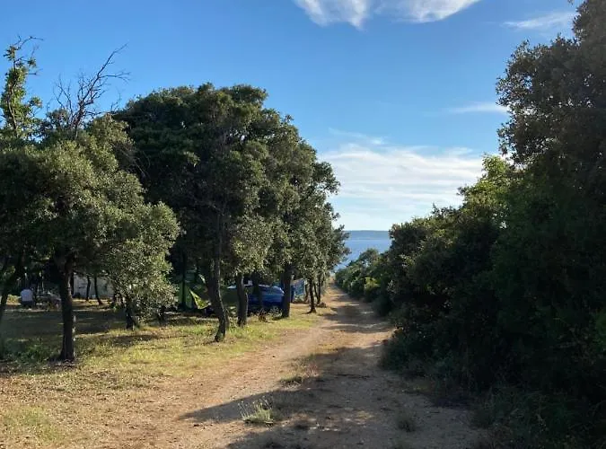 Sugar Camping Mandre