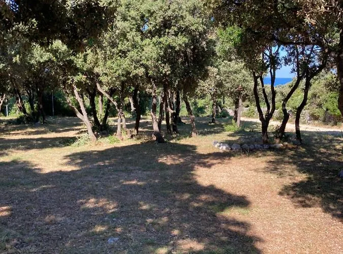 Sugar Camping Mandre