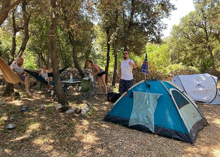 Sugar Camping Mandre