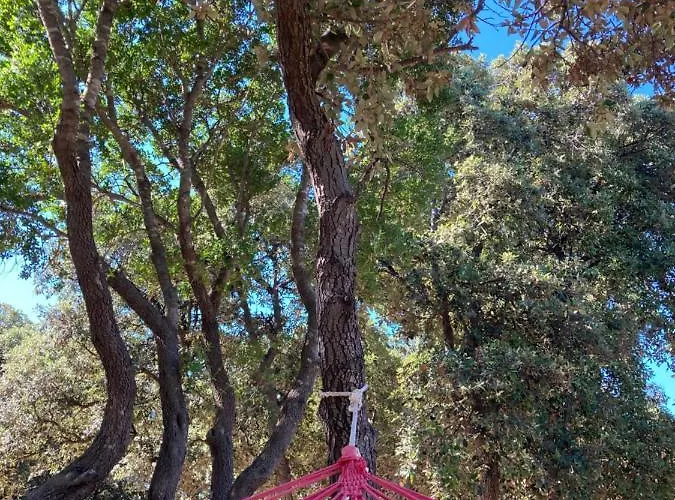 Sugar Κάμπινγκ