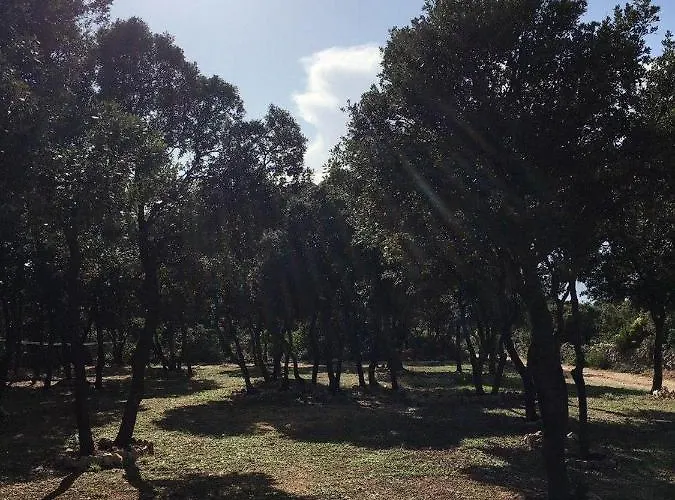 Sugar Κάμπινγκ *