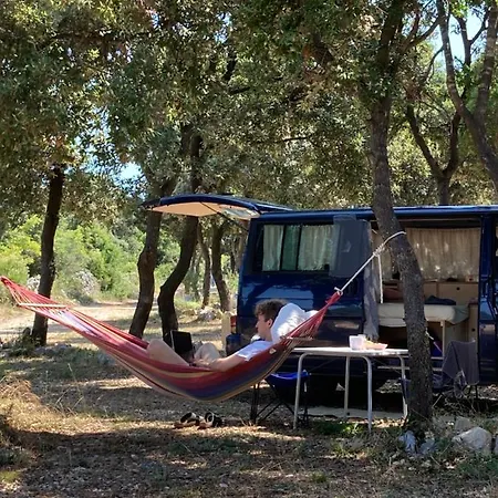 Sugar * ماندري