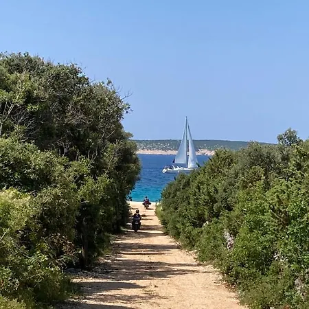 مكان تخييم Sugar ماندري