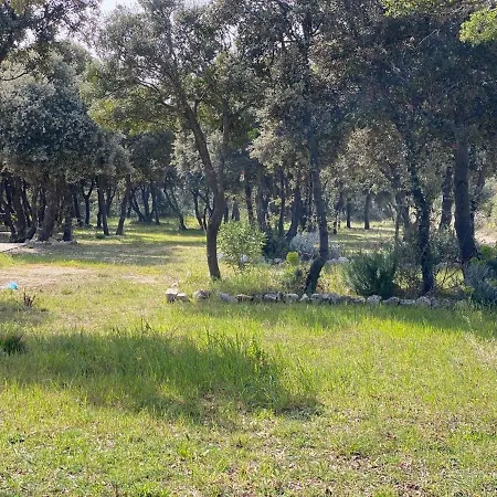 مكان تخييم Sugar