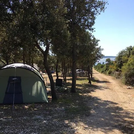Sugar Mandre