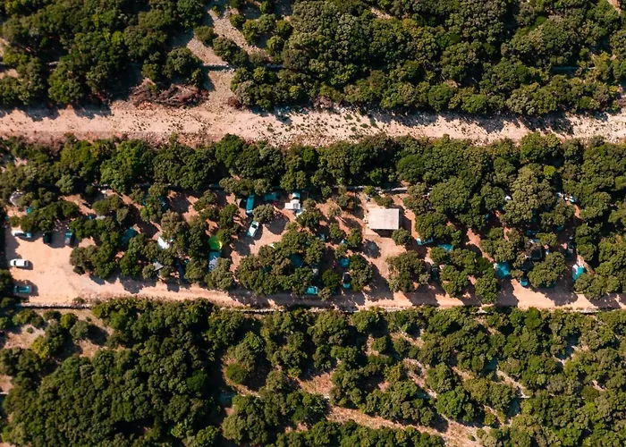 Camping Sugar Mandre